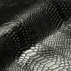 lizard